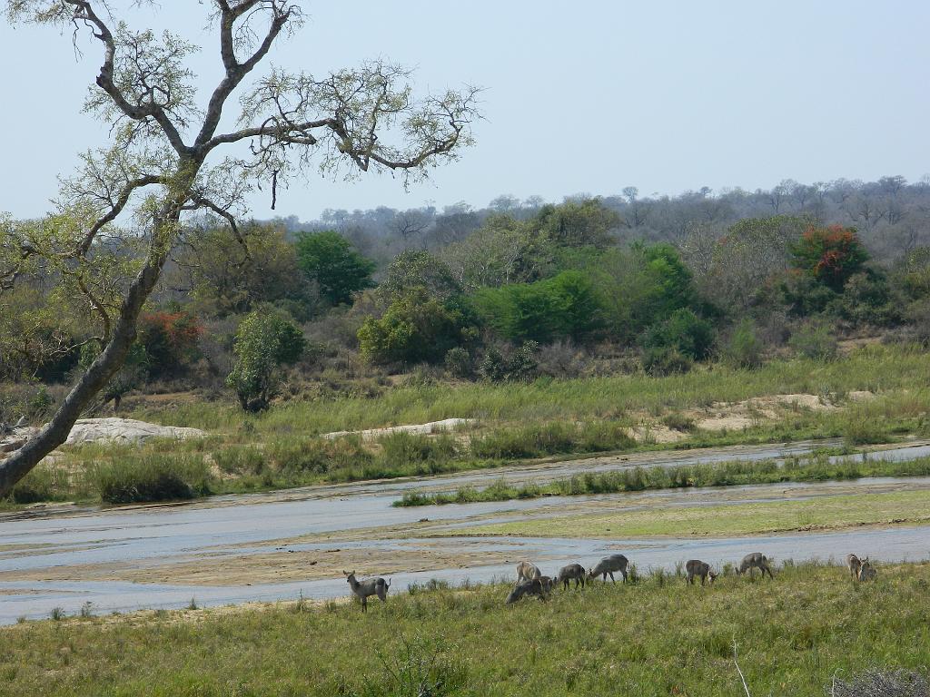 Suedafrika (160)